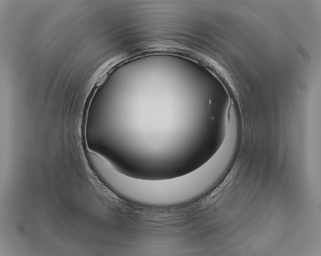 X0000112961330200909171250