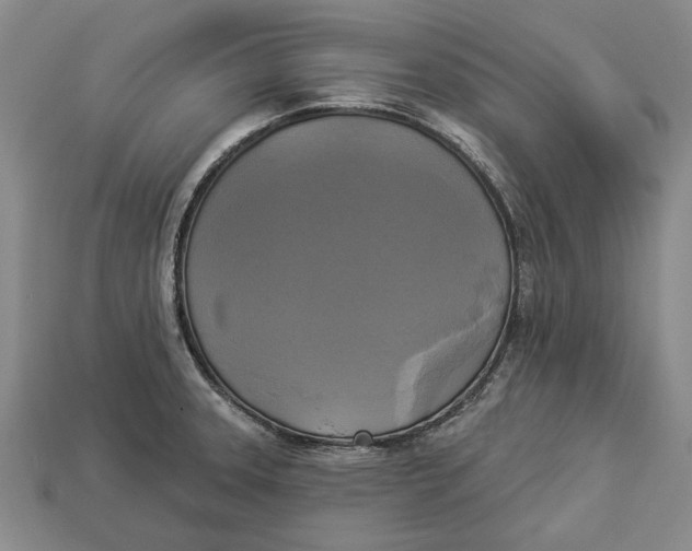 X0000112961331200909171250