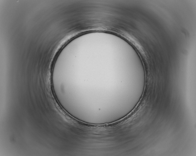 X0000112961332200909171250