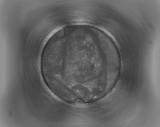 X0000112961333200909171250