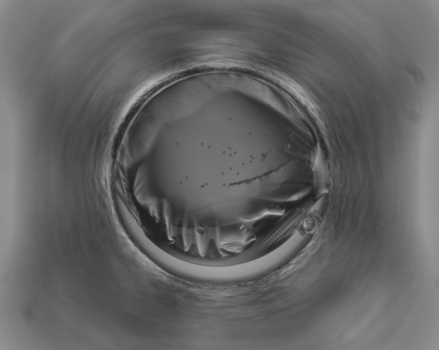 X0000112961334200909171250