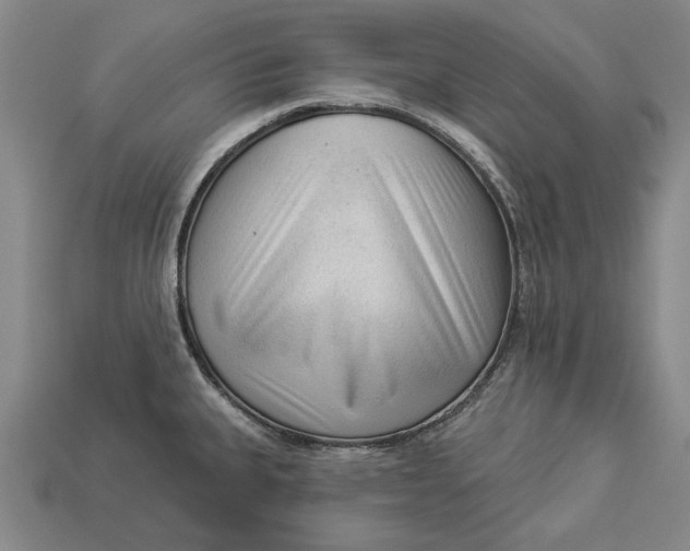 X0000112961335200909171250