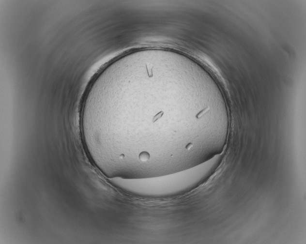 X0000112961336200909171250