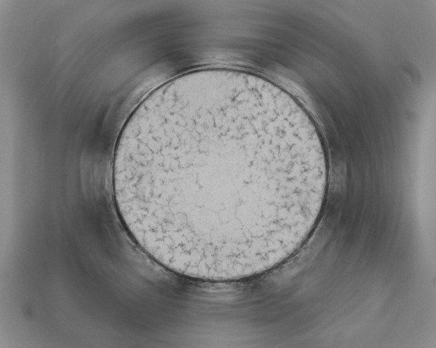 X0000112961338200909171250