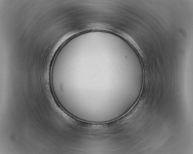 X0000112961339200909171250