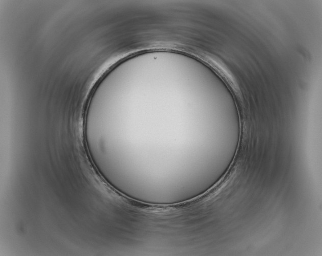 X0000112961340200909171250