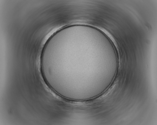 X0000112961341200909171250