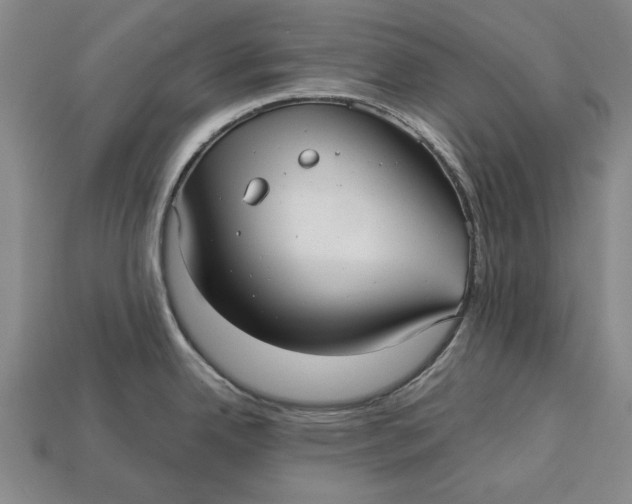 X0000112961342200909171250