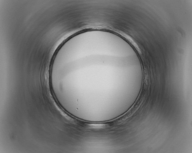 X0000112961343200909171250