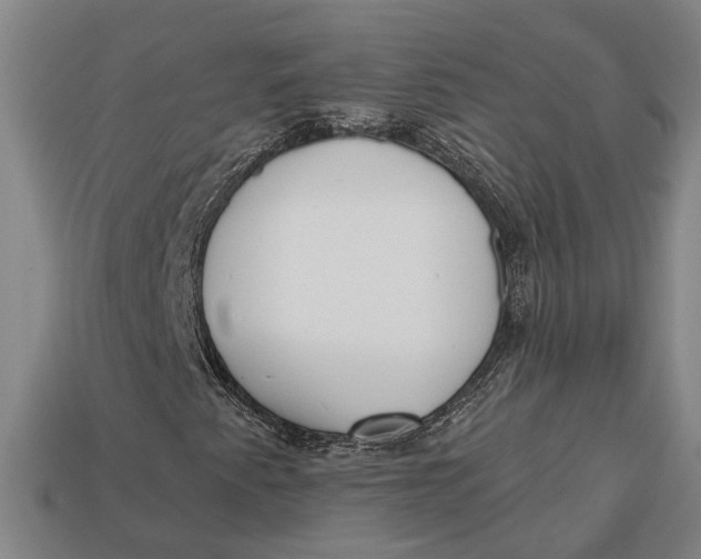 X0000112961345200909171249