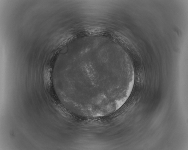 X0000112961346200909171249