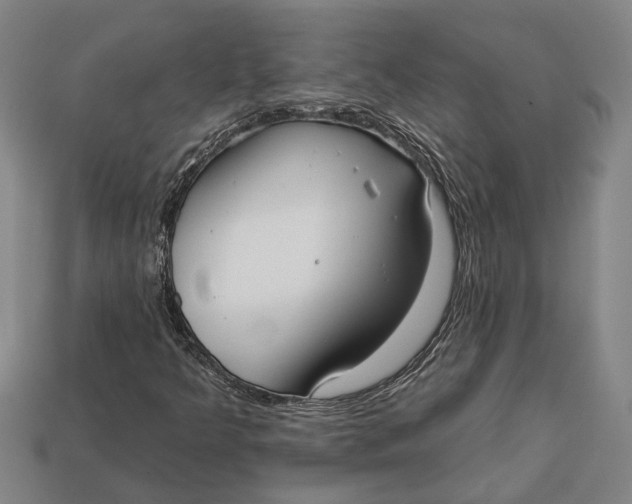 X0000112961349200909171249