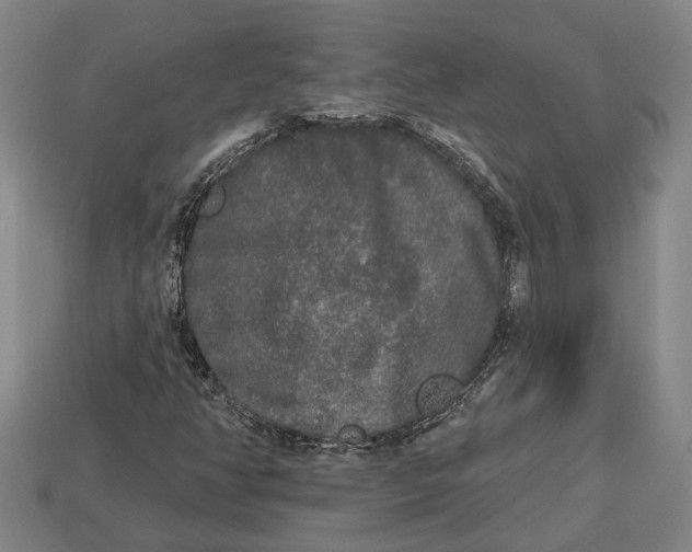 X0000112961350200909171249