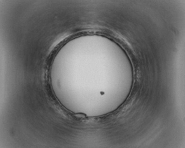 X0000112961352200909171249