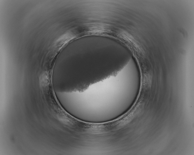 X0000112961353200909171249