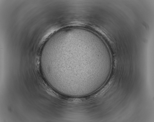 X0000112961355200909171249