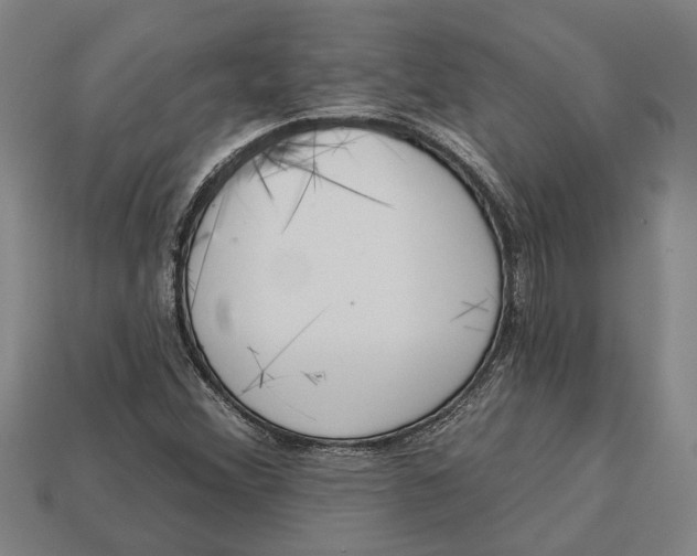 X0000112961356200909171249