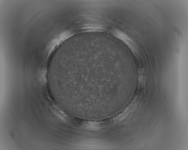 X0000112961357200909171249