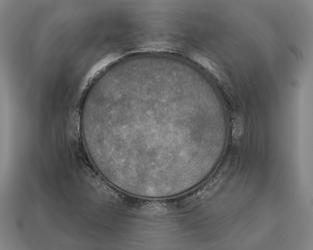 X0000112961358200909171249