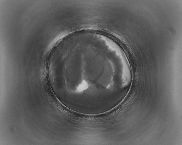 X0000112961359200909171249