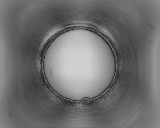 X0000112961360200909171249