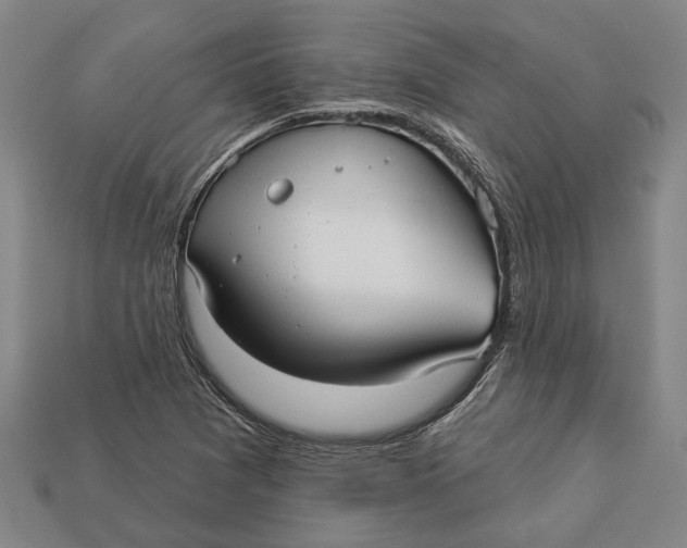 X0000112961361200909171249