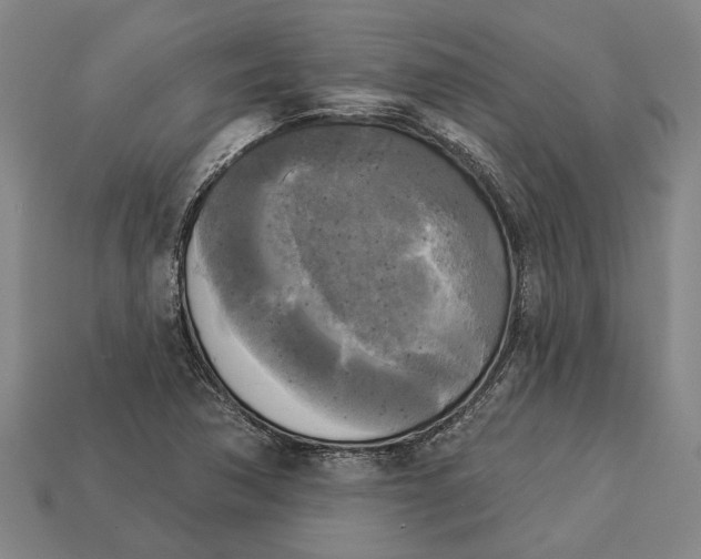 X0000112961362200909171249