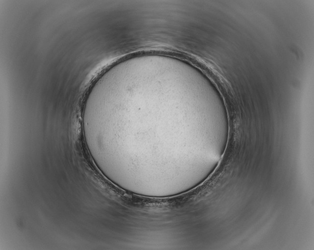 X0000112961363200909171249