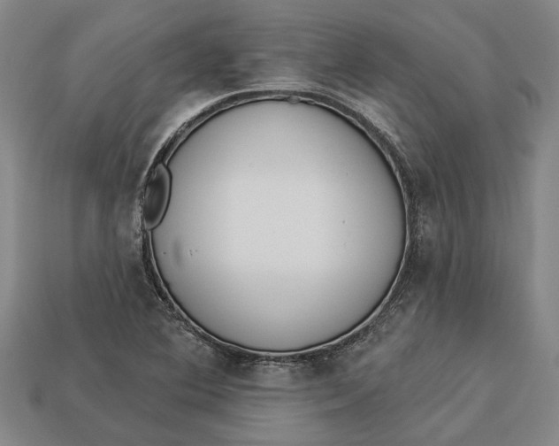 X0000112961364200909171249