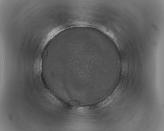 X0000112961365200909171249