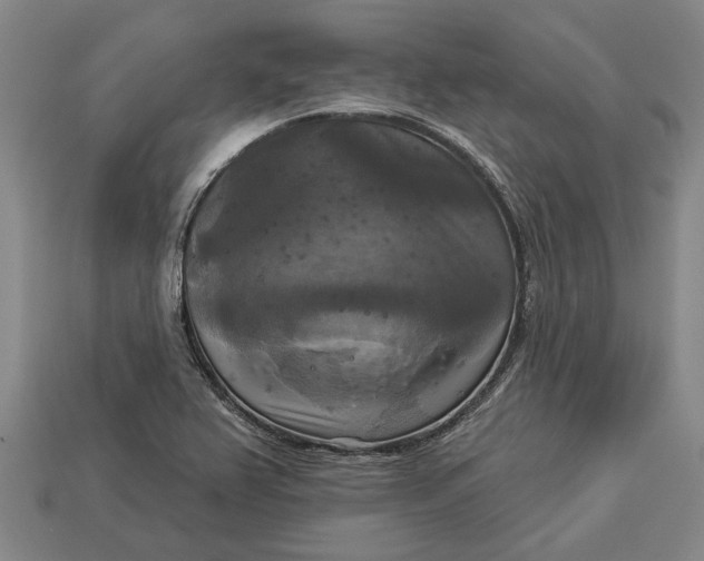 X0000112961367200909171249