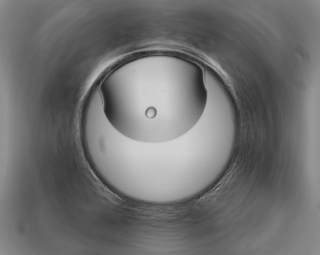 X0000112961368200909171249