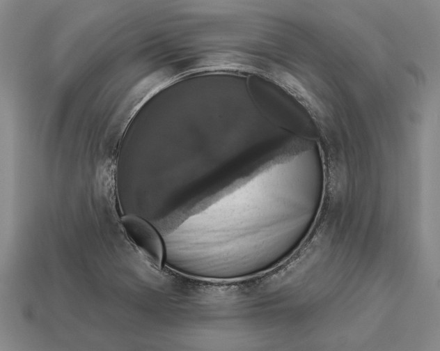 X0000112961369200909171249