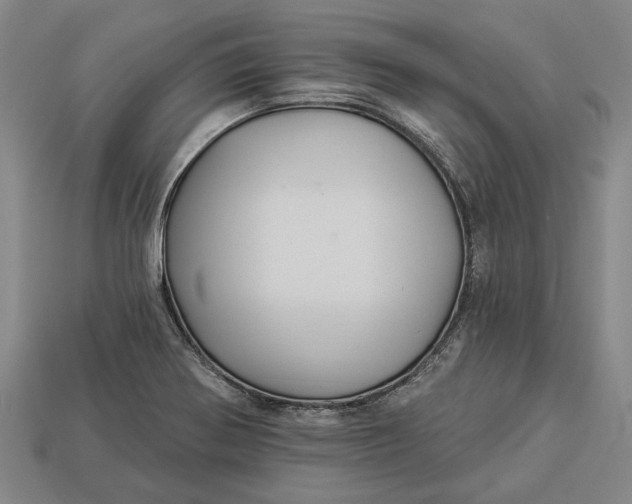 X0000112961370200909171249