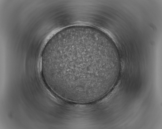 X0000112961371200909171249