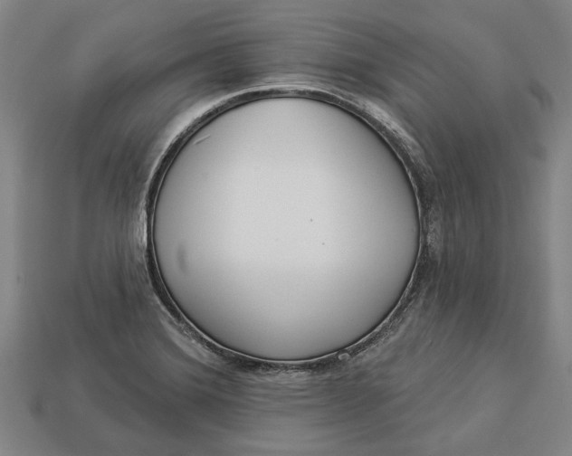 X0000112961372200909171249