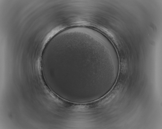 X0000112961373200909171249