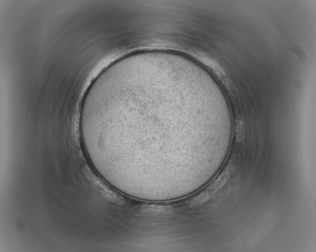 X0000112961374200909171249