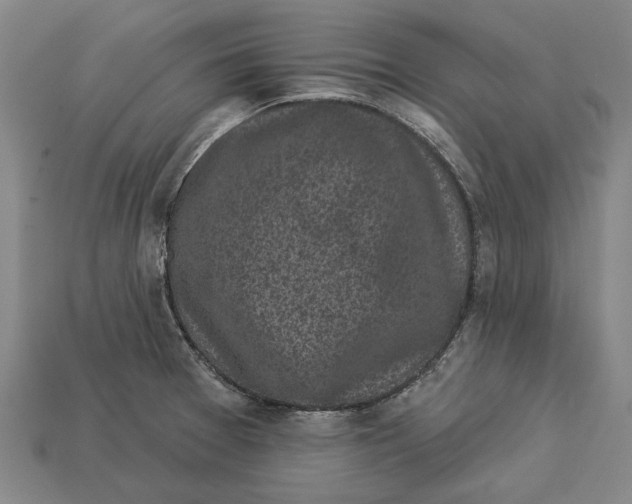 X0000112961377200909171249