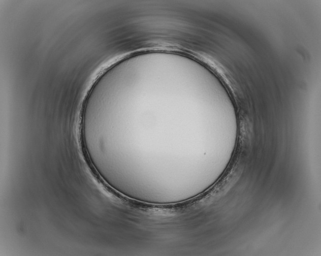 X0000112961379200909171249