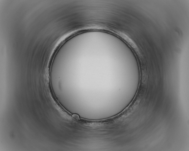 X0000112961380200909171249