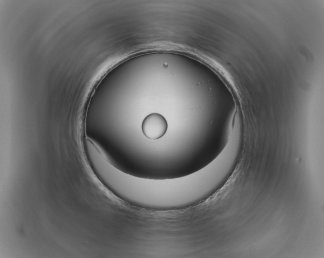 X0000112961381200909171249