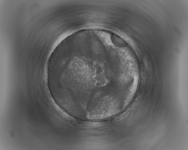 X0000112961382200909171249