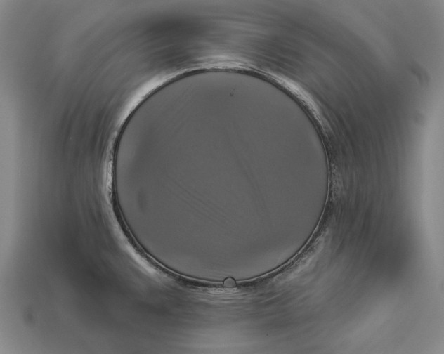 X0000112961383200909171249