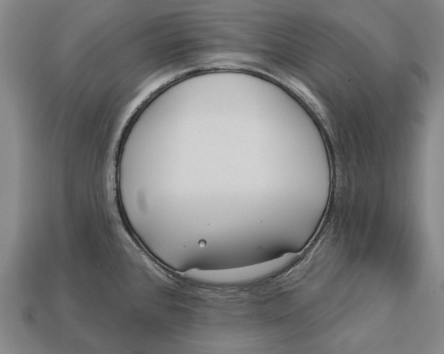 X0000112961384200909171249