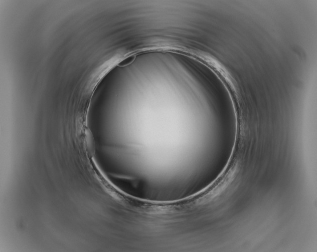 X0000112961385200909171249