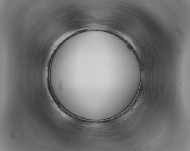 X0000112961387200909171249