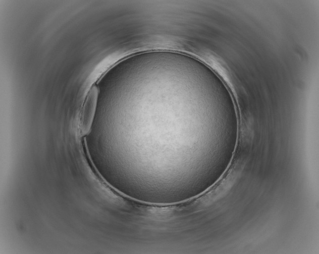 X0000112961389200909171249