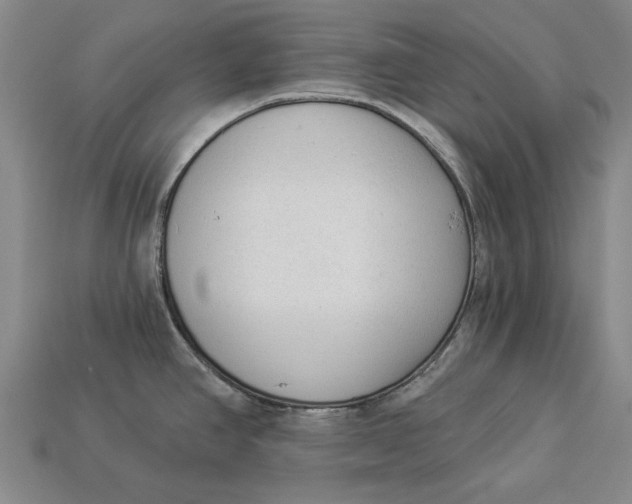 X0000112961390200909171249