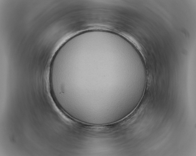 X0000112961391200909171249